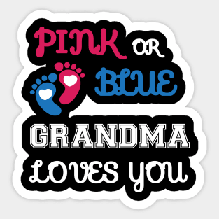 Pink or Blue Grandma Loves You Sticker